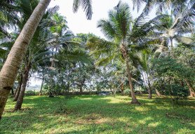 best place to stay in goa